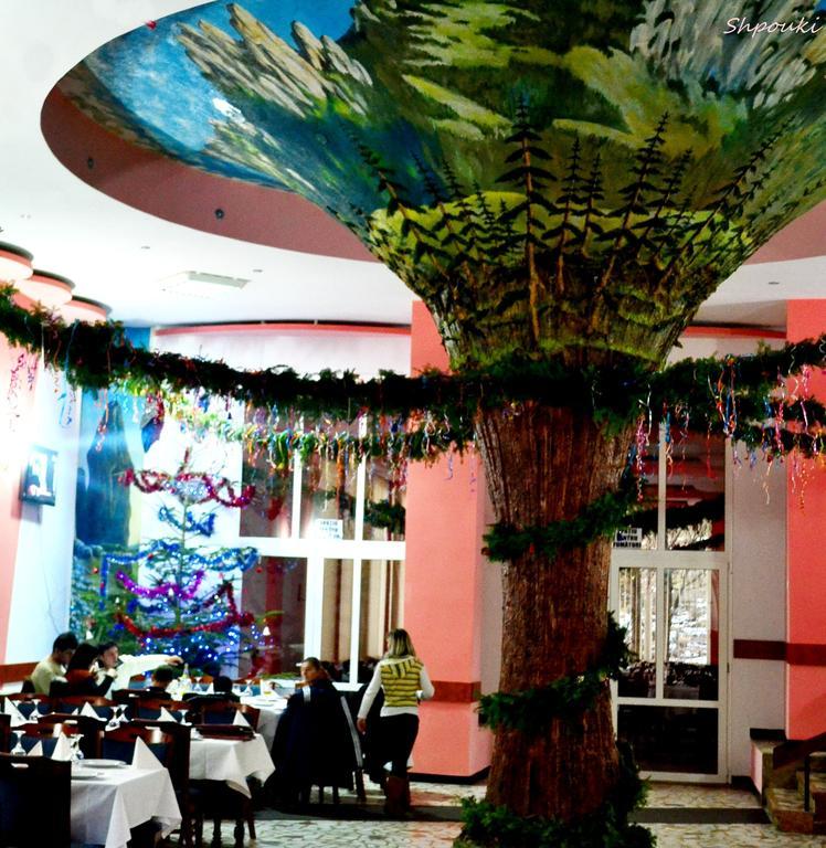 Hotel Bradul Дурау Экстерьер фото