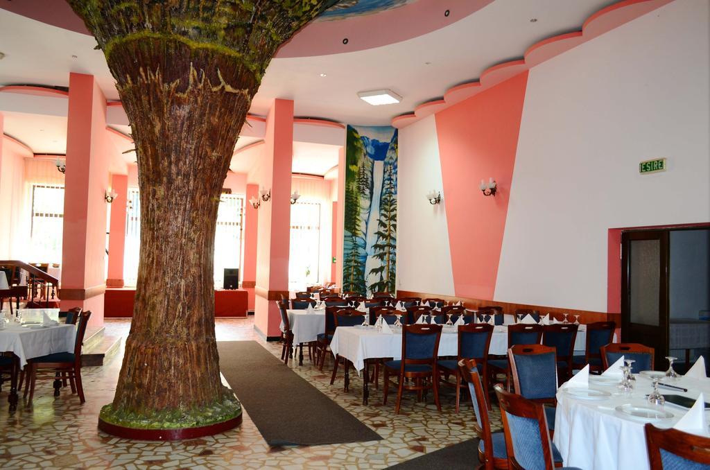 Hotel Bradul Дурау Экстерьер фото