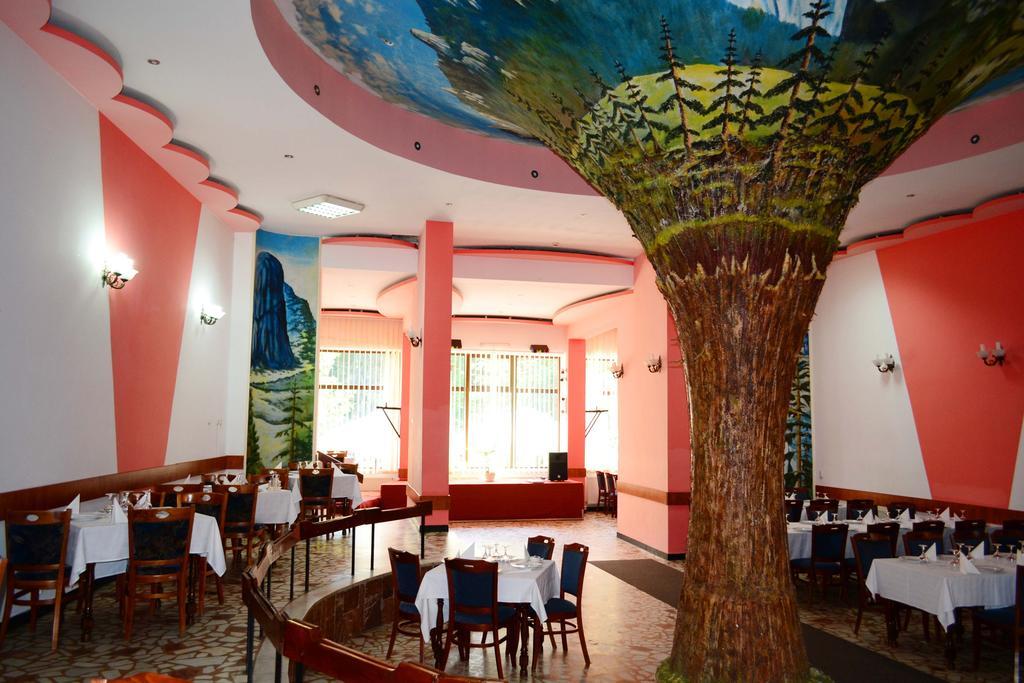 Hotel Bradul Дурау Экстерьер фото
